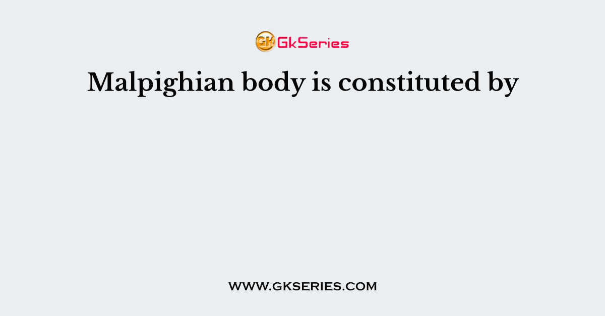 Malpighian body is constituted by