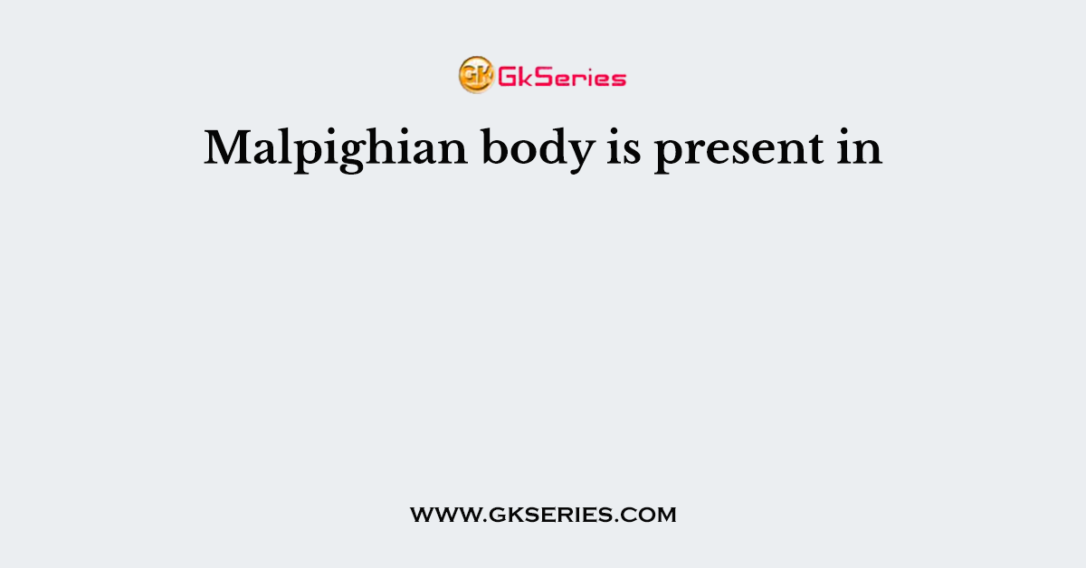 Malpighian body is present in