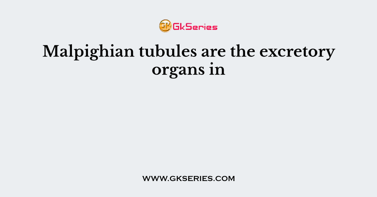 Malpighian tubules are the excretory organs in
