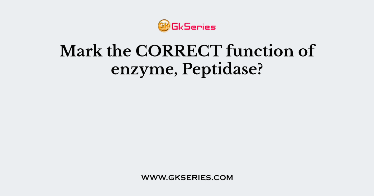 Mark the CORRECT function of enzyme, Peptidase?