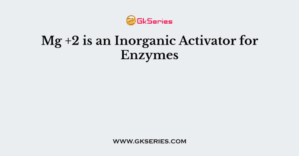 Mg +2 is an Inorganic Activator for Enzymes