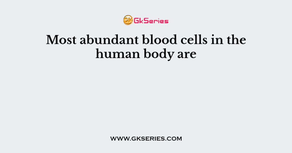 Most abundant blood cells in the human body are