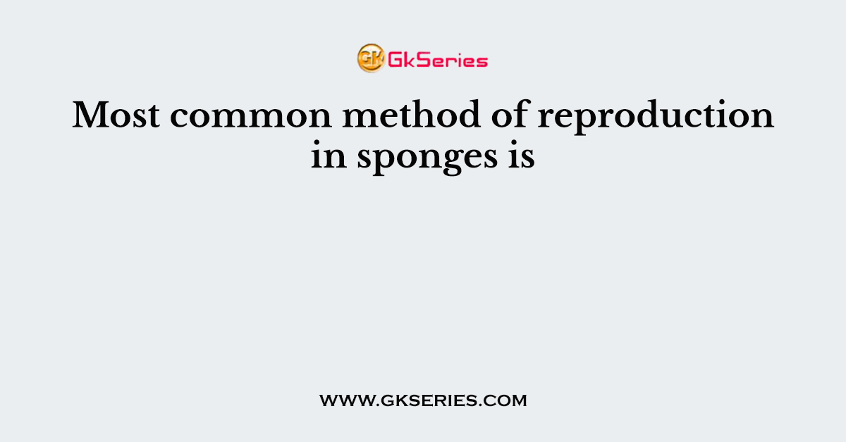 Most common method of reproduction in sponges is