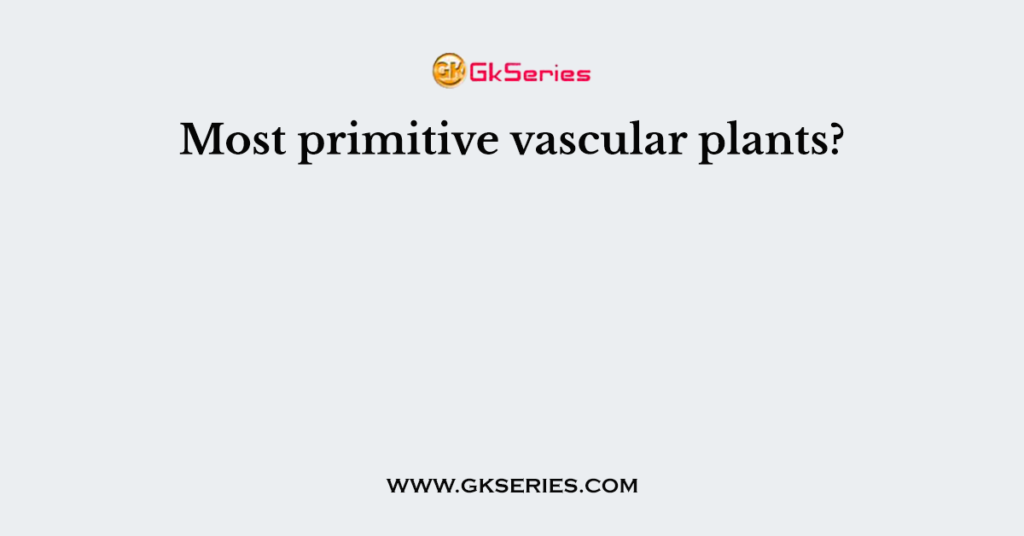 Most primitive vascular plants?