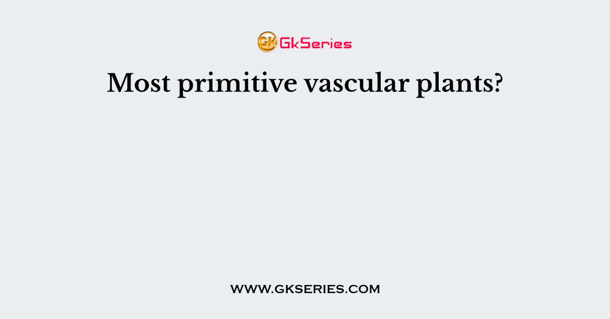 Most primitive vascular plants?