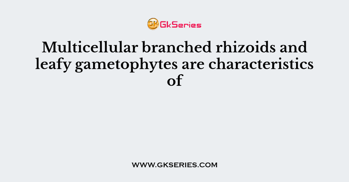 Multicellular branched rhizoids and leafy gametophytes are characteristics of