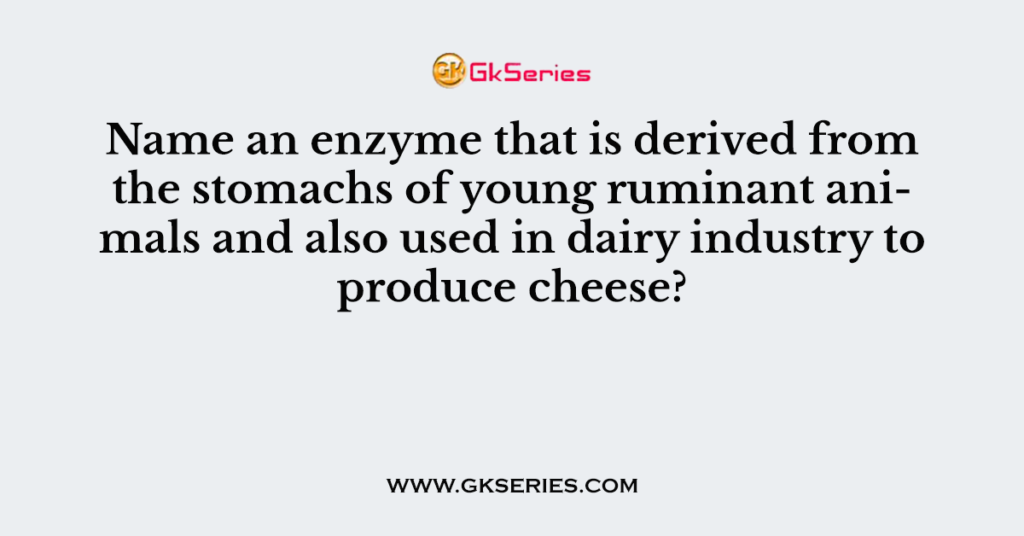 Name an enzyme that is derived from the stomachs of young ruminant animals and also used in dairy industry to produce cheese?