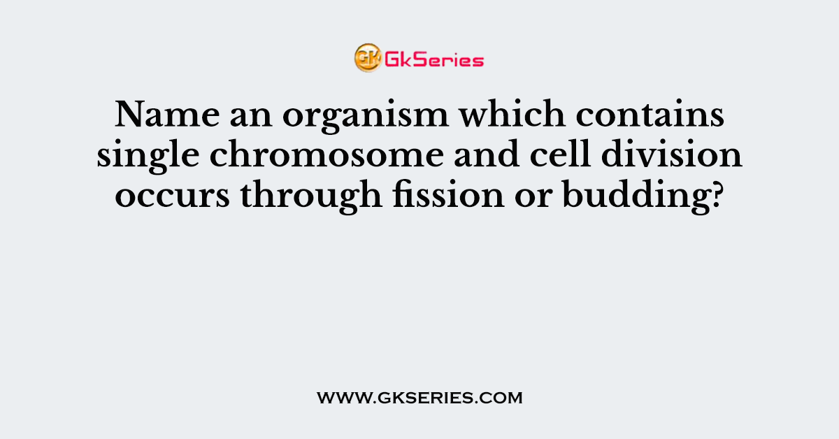 Name an organism which contains single chromosome and cell division occurs through fission or budding?