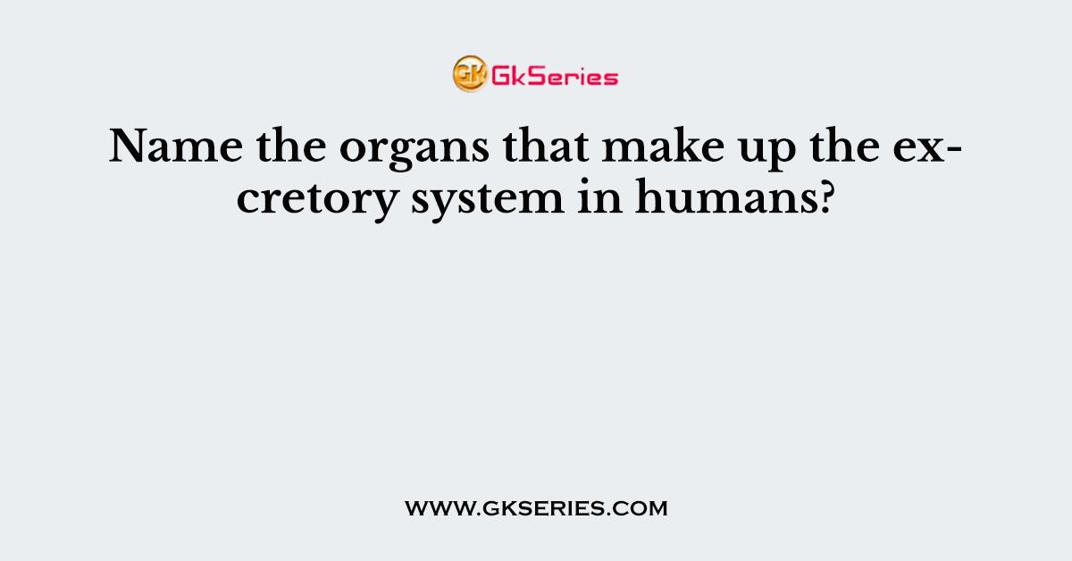 Name the organs that make up the excretory system in humans?
