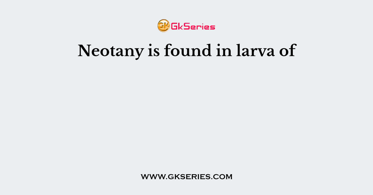 Neotany is found in larva of