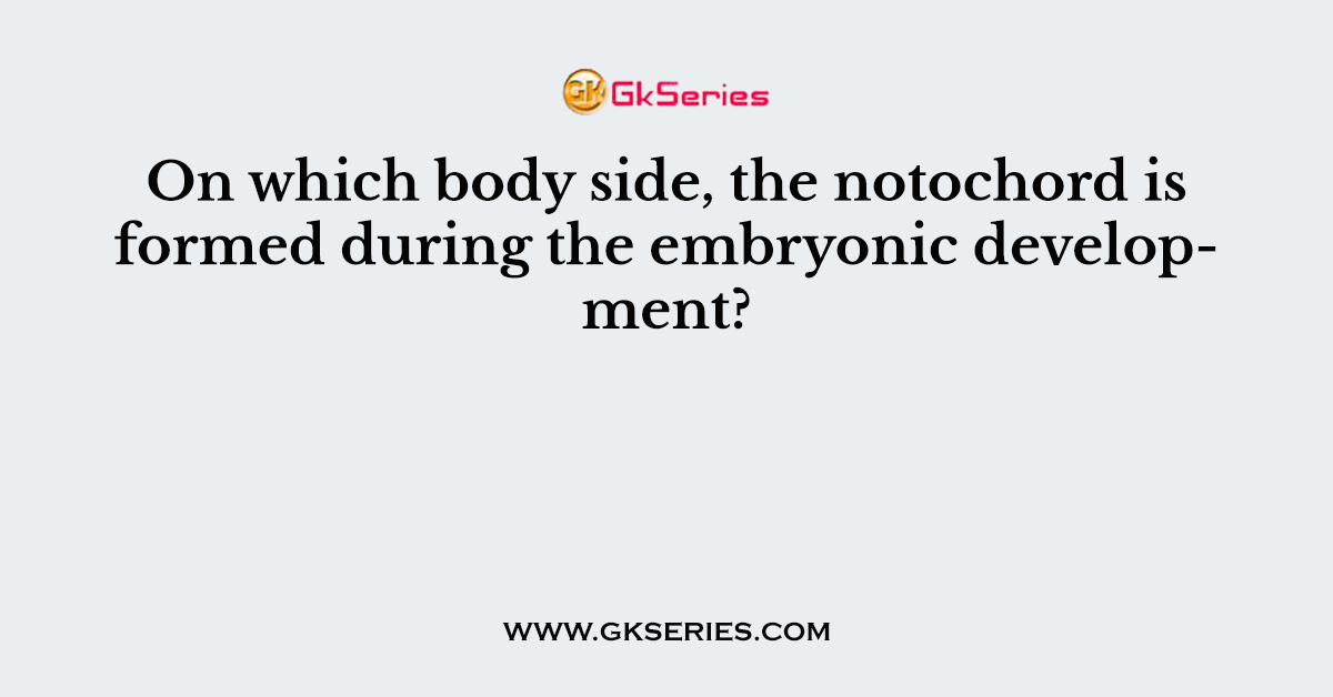 On which body side, the notochord is formed during the embryonic development?
