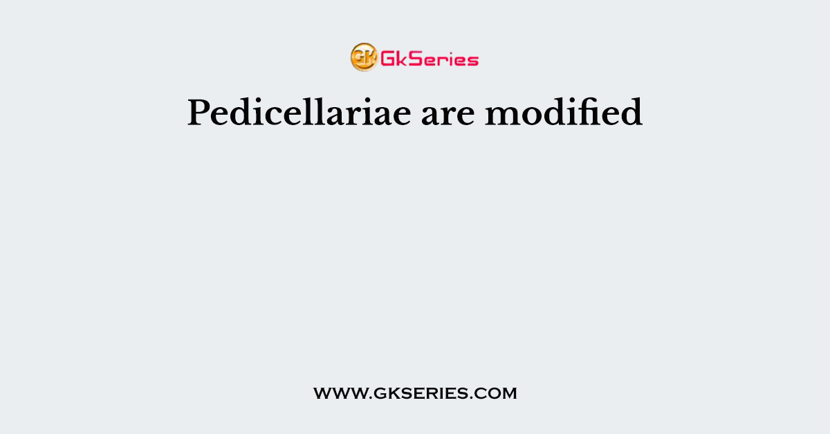 Pedicellariae are modified
