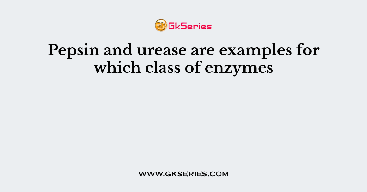 Pepsin and urease are examples for which class of enzymes