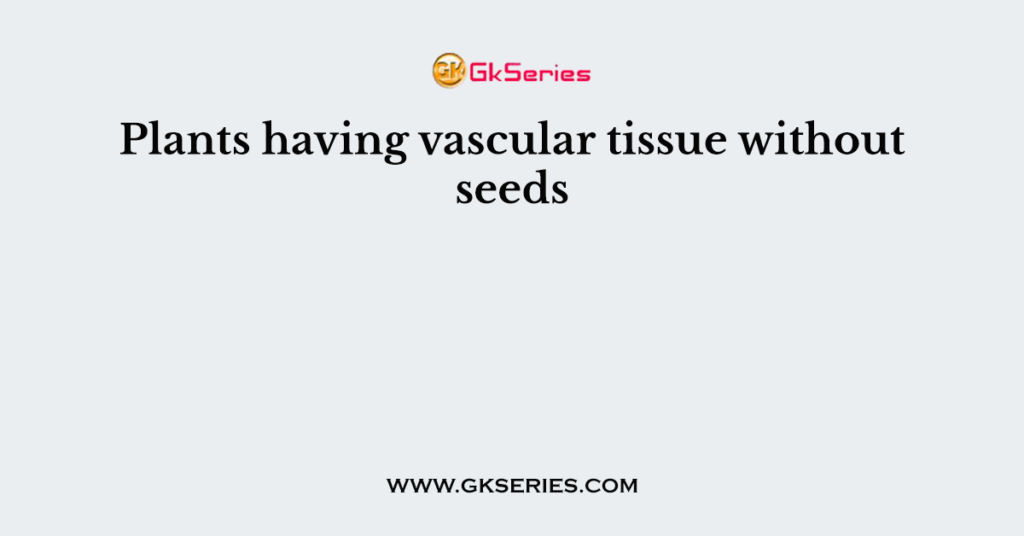 Plants having vascular tissue without seeds