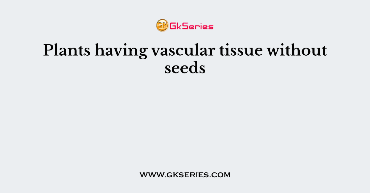 Plants having vascular tissue without seeds