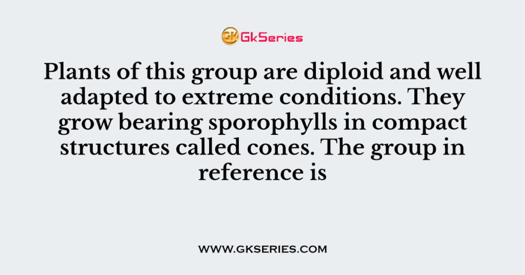 Plants of this group are diploid and well adapted to extreme conditions. They grow bearing sporophylls in compact structures called cones. The group in reference is