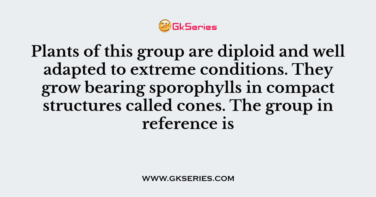 Plants of this group are diploid and well adapted to extreme conditions. They grow bearing sporophylls in compact structures called cones. The group in reference is