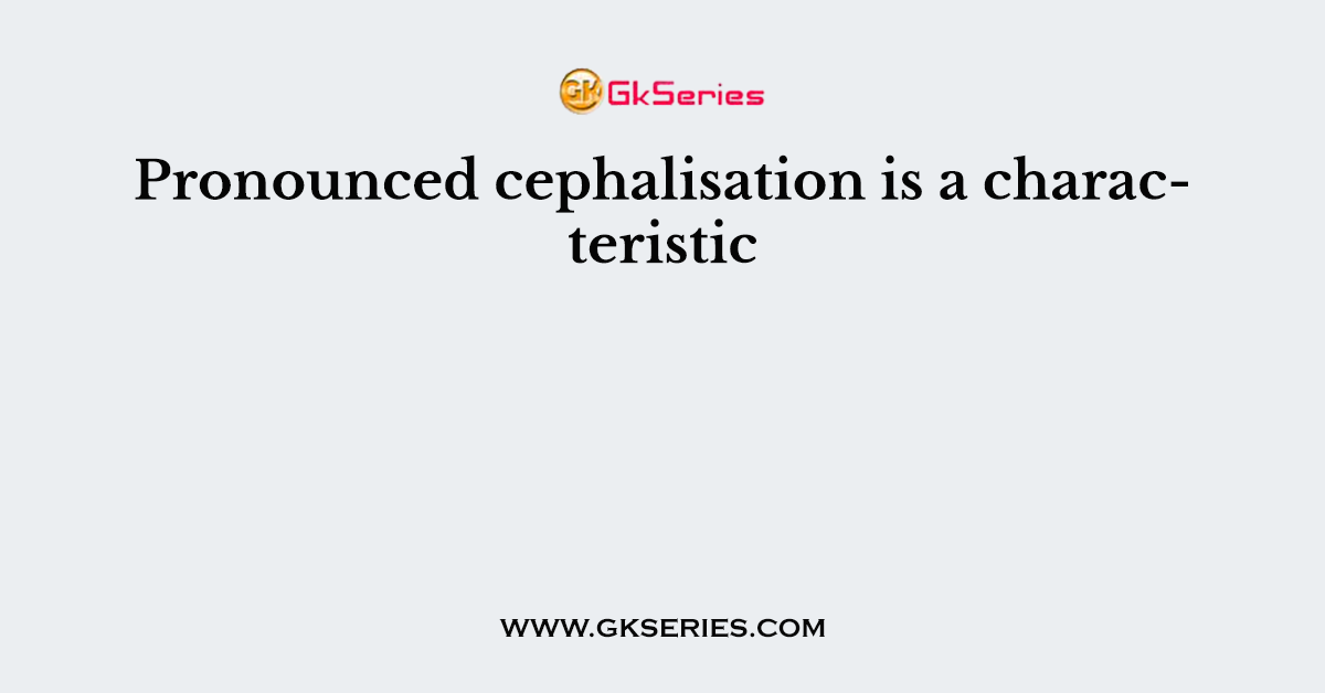 Pronounced cephalisation is a characteristic