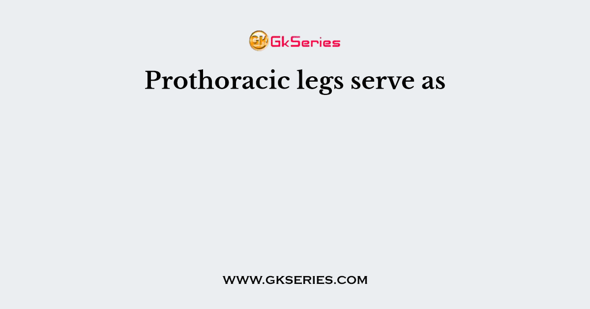Prothoracic legs serve as