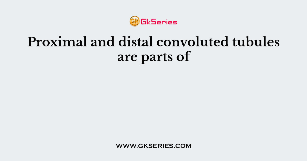 Proximal and distal convoluted tubules are parts of