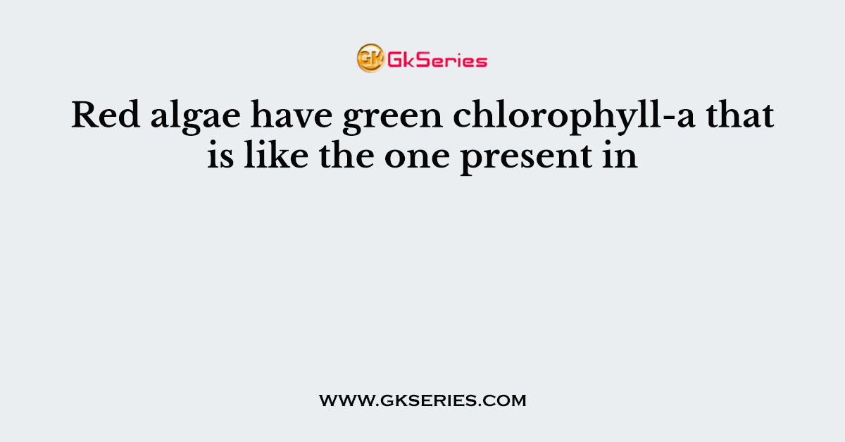 Red algae have green chlorophyll-a that is like the one present in
