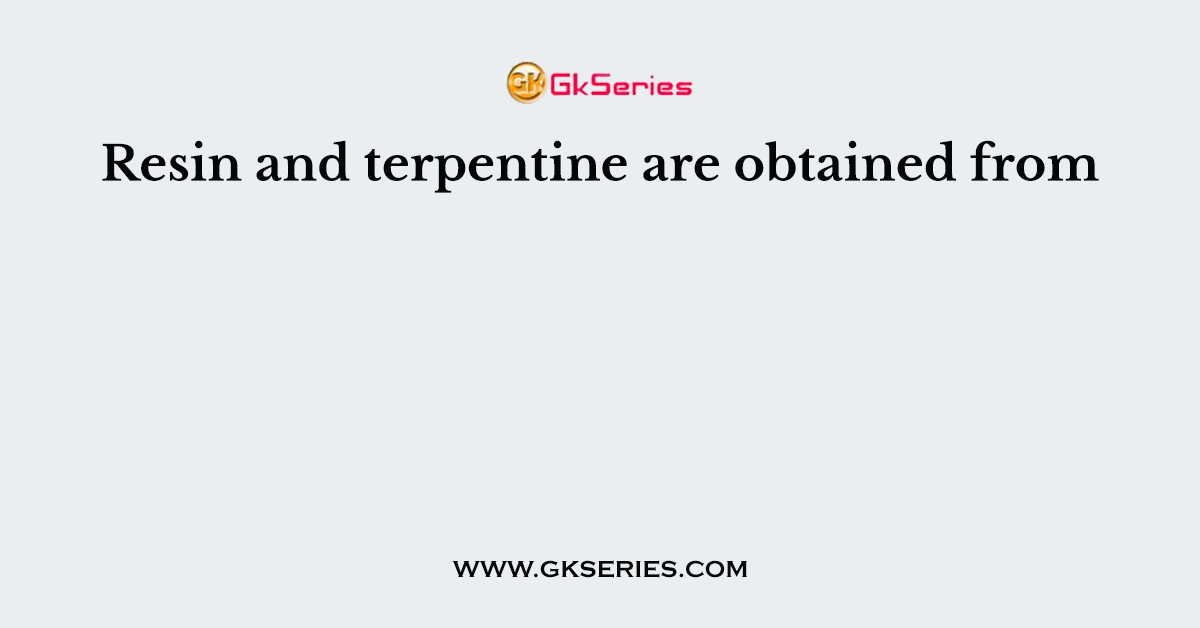 Resin and terpentine are obtained from