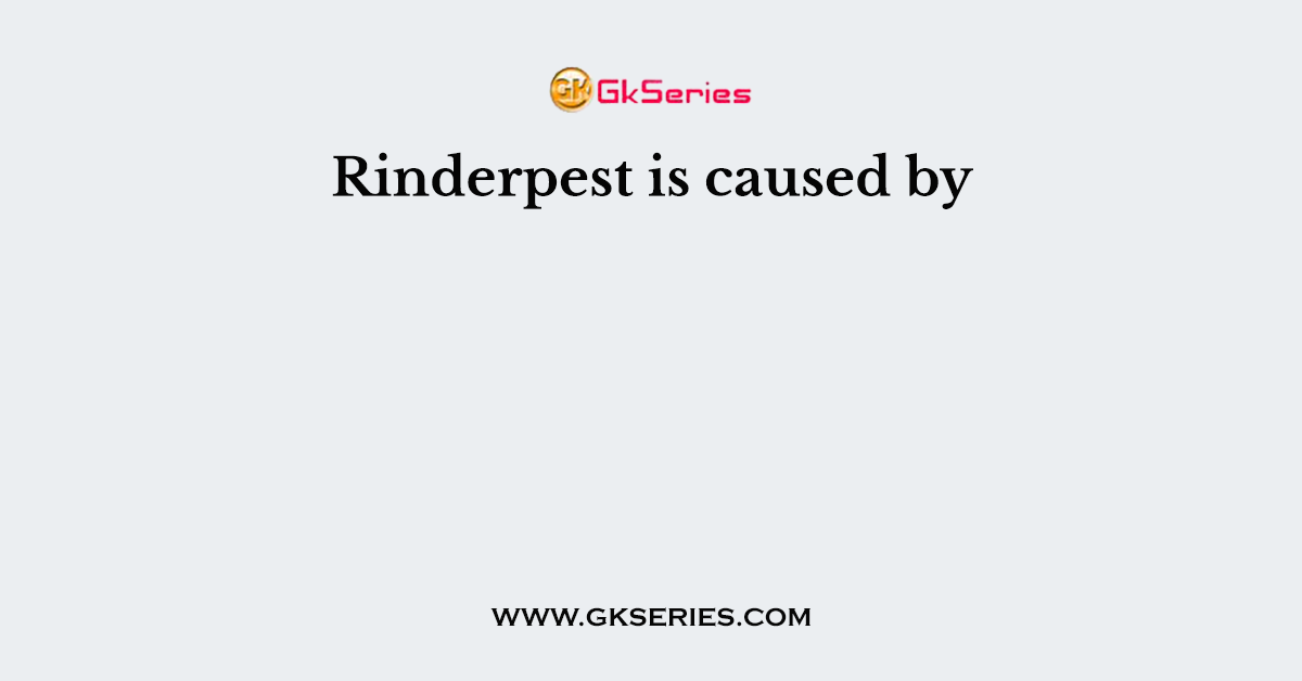 Rinderpest is caused by