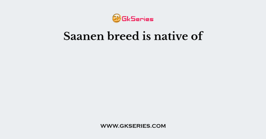 Saanen breed is native of