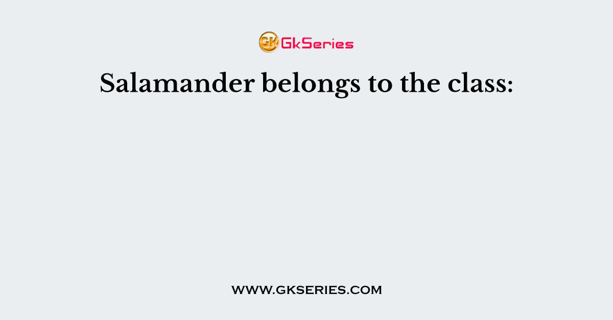 Salamander belongs to the class: