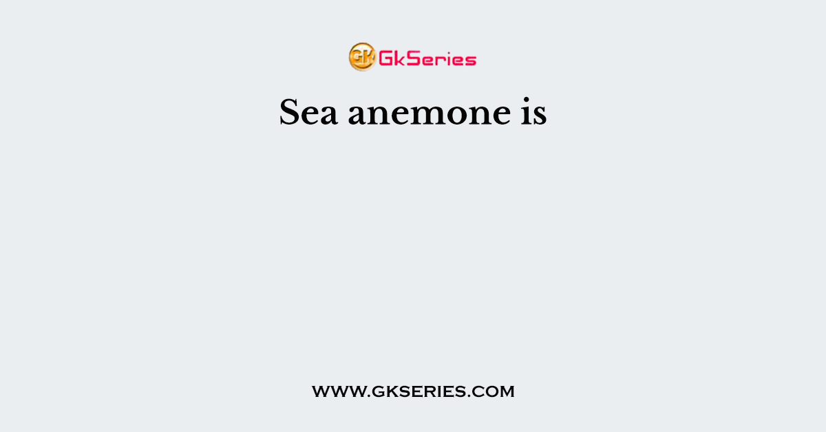 Sea anemone is