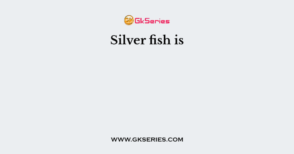 Silver fish is