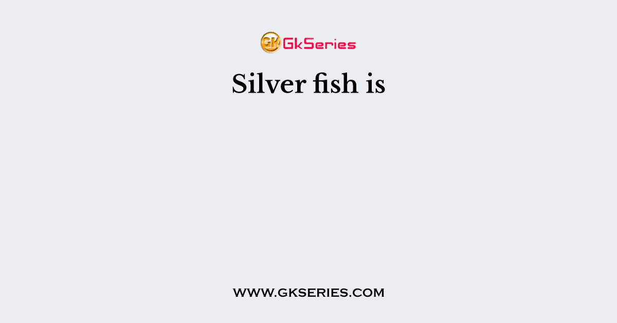 Silver fish is