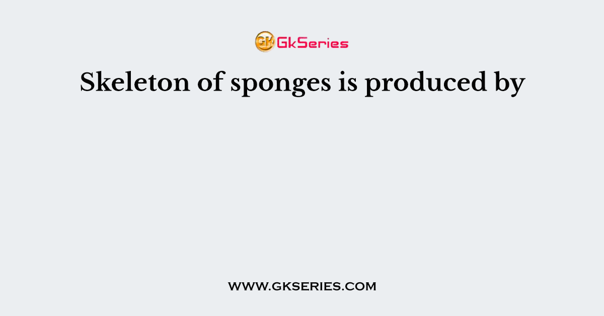Skeleton of sponges is produced by