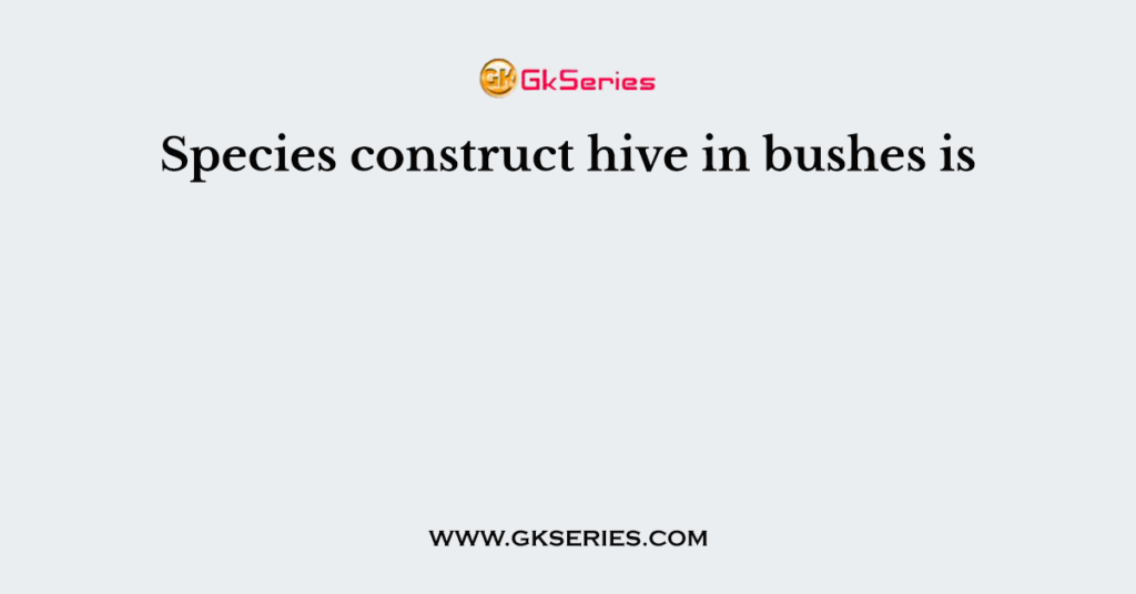 Species construct hive in bushes is