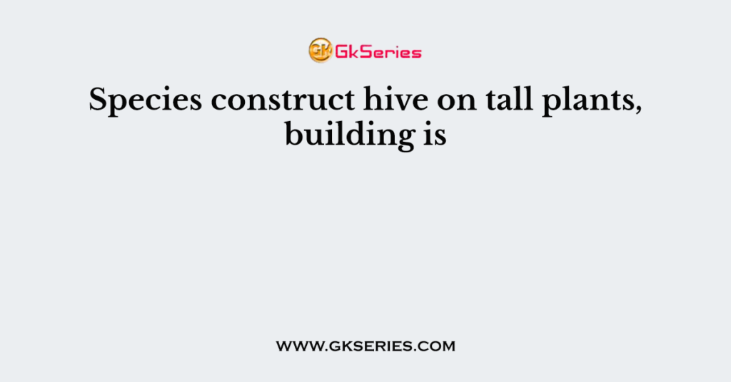 Species construct hive on tall plants, building is