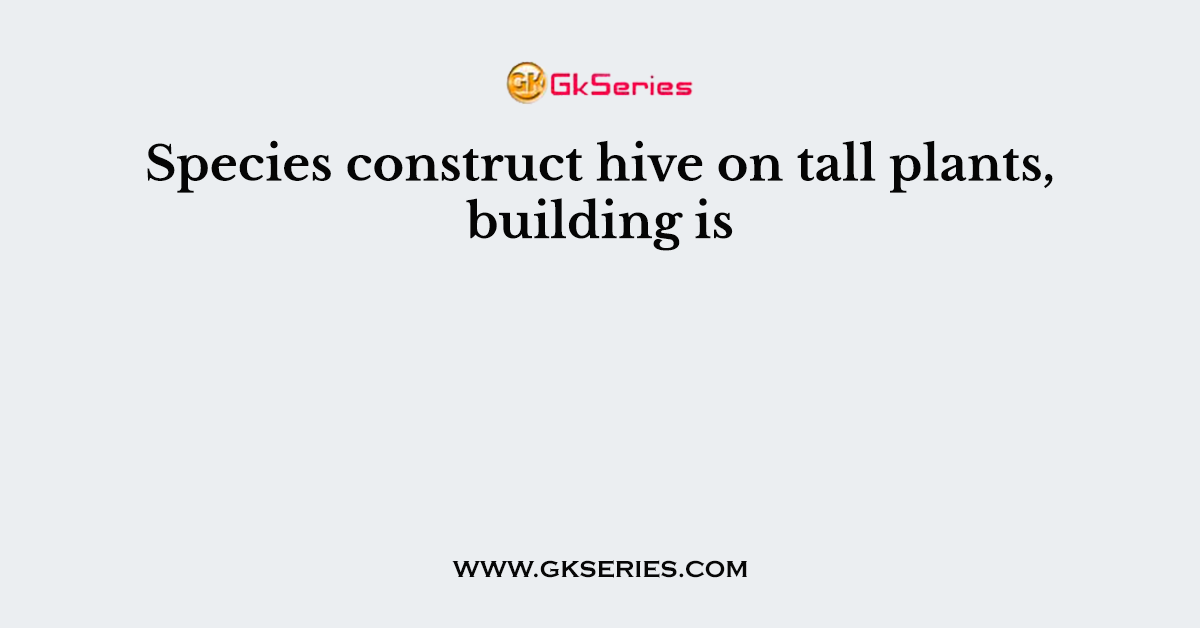 Species construct hive on tall plants, building is