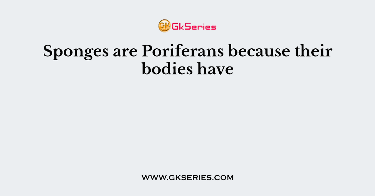 Sponges are Poriferans because their bodies have