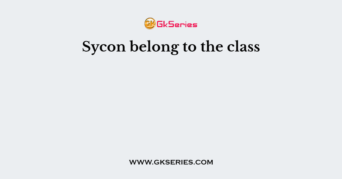 Sycon belong to the class