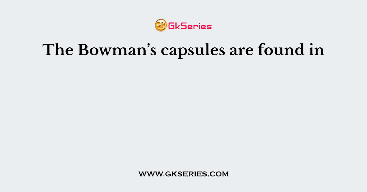 The Bowman’s capsules are found in