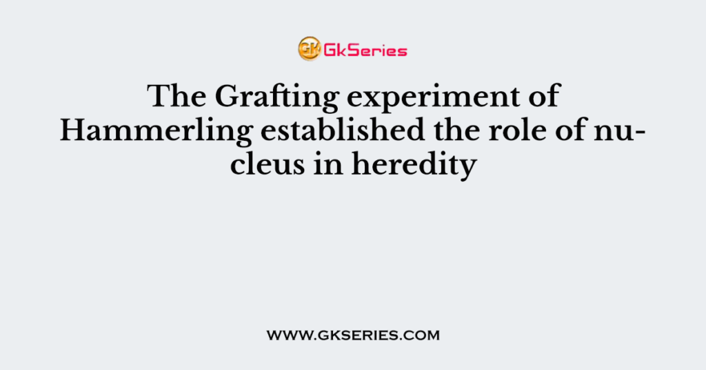 The Grafting experiment of Hammerling established the role of nucleus in heredity