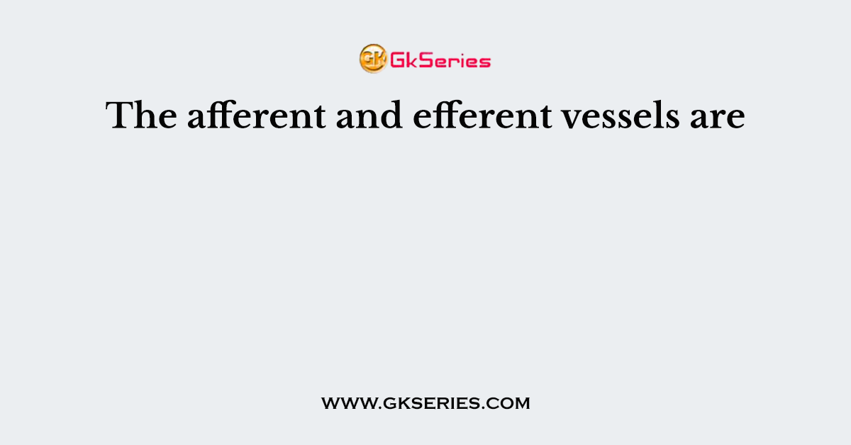 The afferent and efferent vessels are