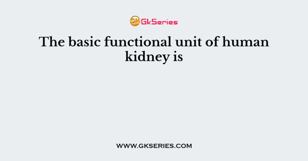 The basic functional unit of human kidney is