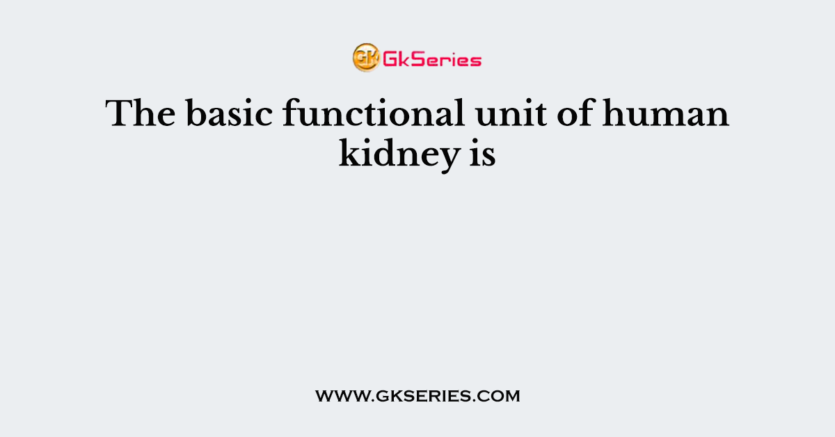 The basic functional unit of human kidney is
