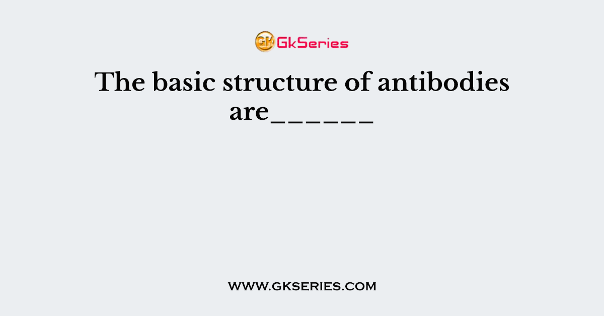 The basic structure of antibodies are______