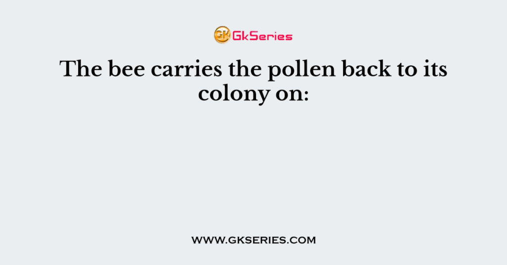 The bee carries the pollen back to its colony on: