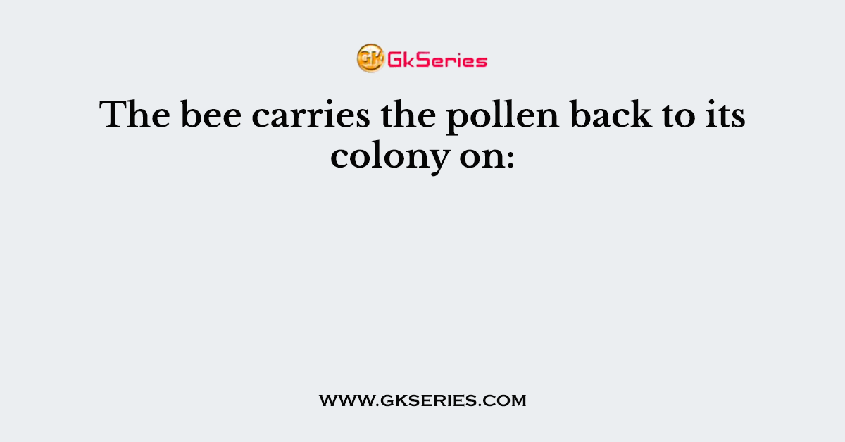 The bee carries the pollen back to its colony on: