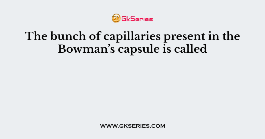 The bunch of capillaries present in the Bowman’s capsule is called