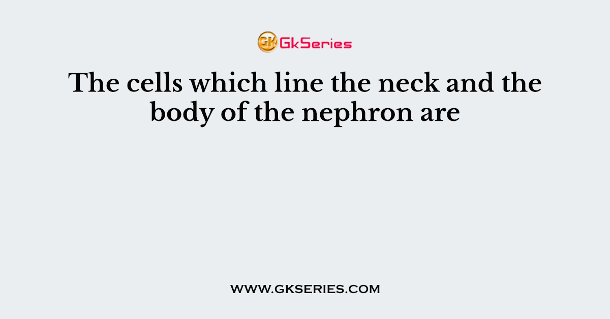 The cells which line the neck and the body of the nephron are