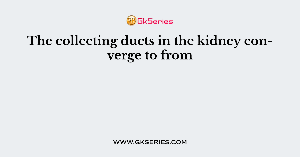 The collecting ducts in the kidney converge to from