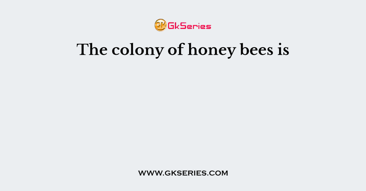 The colony of honey bees is